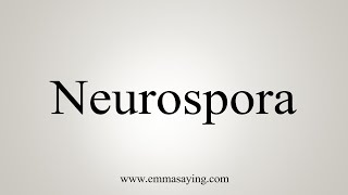 How To Say Neurospora [upl. by Atterahs52]