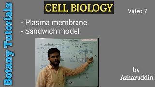 Plasma membrane  Sandwich model [upl. by Bogart]