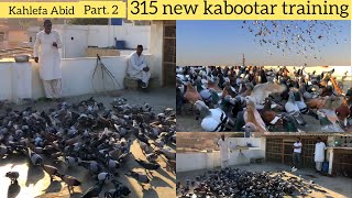 Kahlefa Abid 315 new kabootar training  update part2 [upl. by Aihsekat]