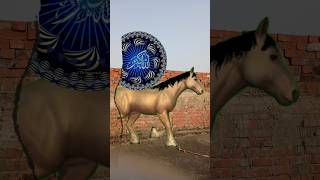 Ali molla Ali VFX 🕋🥰islamicvideo shorts trending trendingshorts cartoon [upl. by Nahte201]