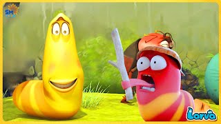 LARVA CARTOONS 2025 bãi cỏ xanh  ấu trùng tinh nghịch tập 84 phần 1 [upl. by Ghassan]