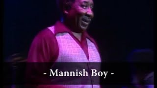 Muddy Waters  Mannish Boy Live At Rockpalast [upl. by Eeralih]