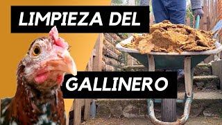 Cómo limpiar y desinfectar el GALLINERO [upl. by Brandyn357]