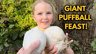 How We Harvest and Eat Giant Puffball Mushrooms at Our Cabin in the Woods [upl. by Sabec]