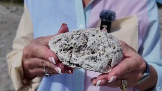 Woman finds ambergris on Florida beach The whale poop could be worth a fortune [upl. by Nordgren]