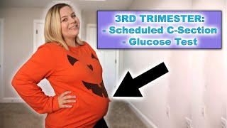 28 WEEK BUMPDATE 3rd Trimester Scheduled CSection amp Glucose Test [upl. by Anny]