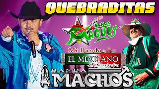 Quebradita Mix De Los 90 Exitos  El Mexicano Banda Machos Banda Magueyy Mas  Quebraditas Mix [upl. by Nolana]