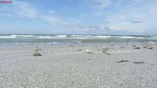 1 h Meeresrauschen Entspannung Wellenrauschen Wellen Strand Meer Ostsee HD [upl. by Akehsyt]