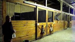 HORSESFun Educational How to Correct Stall Kicking [upl. by Eneliak530]