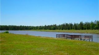 Peach Creek Plantation  Cleveland TX  Montgomery County [upl. by Aremat]