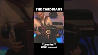 The Cardigans quotLovefoolquot 1996 acoustic instrumental [upl. by Yrannav]