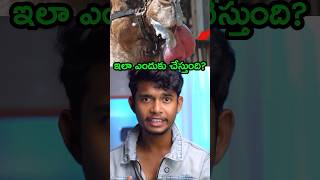 😳What is the reason osmdhruva telugu [upl. by Preciosa]