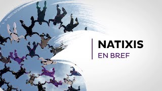 2017  Natixis en bref [upl. by Aldercy]