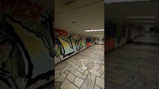 🌃🖼 Wallart graffiti graffitiart underpass sofia Bulgaria shorts mv thematic underground [upl. by Aicirt]