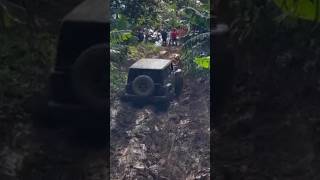 Jeep in Forest off road mud [upl. by Toddie]