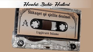 Hoxhë Bekir Halimi  Shkaqet që sjellin denimet [upl. by Suzan425]