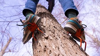 This Tool Makes Tree Climbing Effortless [upl. by Pollack]