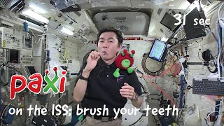 Paxi on the ISS How to brush your teeth in space [upl. by Rennoc680]