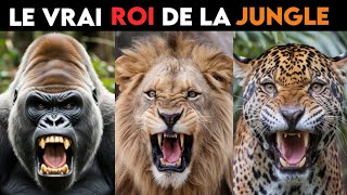 Qui Devrait Être Le Vrai Roi De La Jungle [upl. by Terina]