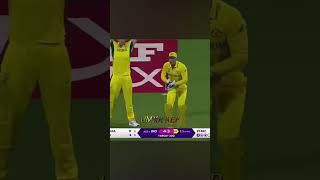 virat vs statc wc [upl. by Ecirtaed]