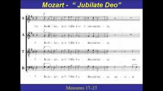 Mozart  Jubilate Deo  Alto [upl. by Woodhouse]