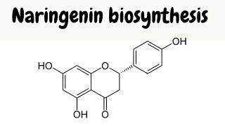 Biosynthesis of naringenin  mechanisms [upl. by Gerfen661]