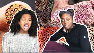 Reacting to TRYPOPHOBIA I Cried [upl. by Eceinert164]