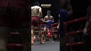 Explosive Muay Thai Highlights  Knockout Power Unleashed 🥊 muaythai thaifighter combatsport [upl. by Melborn]