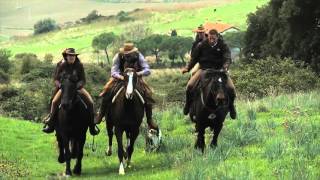 Trekking a cavallo in Maremma [upl. by Rennob]