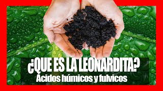 🌴 BENEFICIOS DE LOS ÁCIDOS HÚMICOS Y FULVICOS EN LA AGRICULTURA 🌴 ¿QUE ES LA LEONARDITA 🌴 [upl. by Fifi]