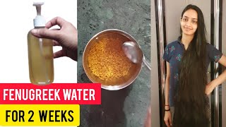 Fenugreek Water Challenge  I Applied Fenugreek Water For 2 Weeks  My Results [upl. by Saxen]