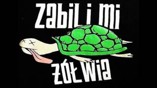 ZABILI MI ŻÓŁWIA  DLACZEGO [upl. by Wallache]