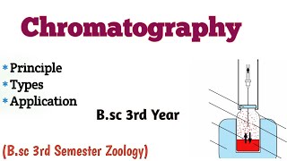 Chromatography Principle Types of Chromatography ion exchange Bsc 3rd Semester UmeshBiology [upl. by Langley]