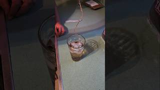 Christmas Science science christmas advent experiment [upl. by Lebbie902]