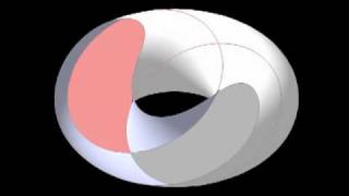 Torus Sections Villarceau circles and Lemniscate  Elastica [upl. by Ayar]