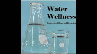 Microplastics and Nanoplastics  More prevalent in bottled water than we thought [upl. by Ykcir]