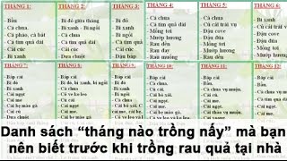 Danh sách “tháng nào trồng nấy” mà bạn nên biết trước khi trồng rau quả tại nhà [upl. by Nossaj]