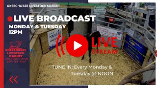 Okeechobee Livestock Market Live Stream [upl. by Pomfret]