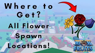 Every Flower Spawn Location in Blox Fruits [upl. by Roi534]