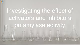 35 Investigating the effect of activators and inhibitors on amylase activity [upl. by Mayyahk]