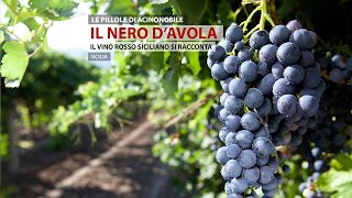 Nero DAvola  Sicilia [upl. by Dev526]