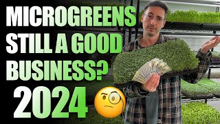 Should You Start A Microgreens Business In 2024 The Truth [upl. by Viquelia221]