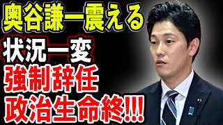 【奥谷謙一】奥谷謙一震える政治界の黒い噂！奥谷謙一の隠された過去とは？日本国追放！？【解説・見解】 [upl. by Ailaht]