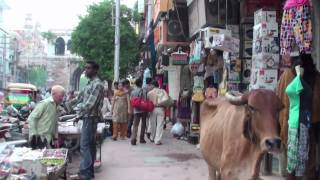 The market of Vadodara Gujarat  India [upl. by Imoian]