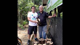 Agarwood farming inoculation and processing training in Malaysia Allan Monreal [upl. by Anirbys]