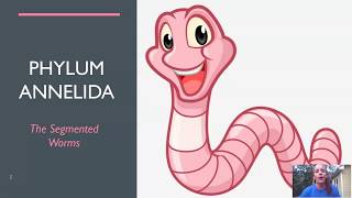 Segmented Worms Updated [upl. by Abrahan]