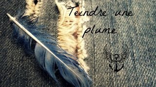 Comment teindre une plume [upl. by Haila]