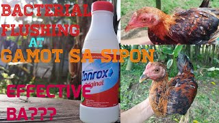 ZONROX PWEDENG GAMOT SA SIPON NG MANOK [upl. by Jaylene]