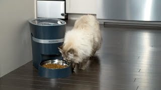 Alimentador de mascotas automático e inteligente Smart Feed de PetSafe® para perros y gatosES [upl. by Aicekat]