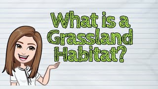 SCIENCE What is a Grassland Habitat  iQuestionPH [upl. by Rice877]